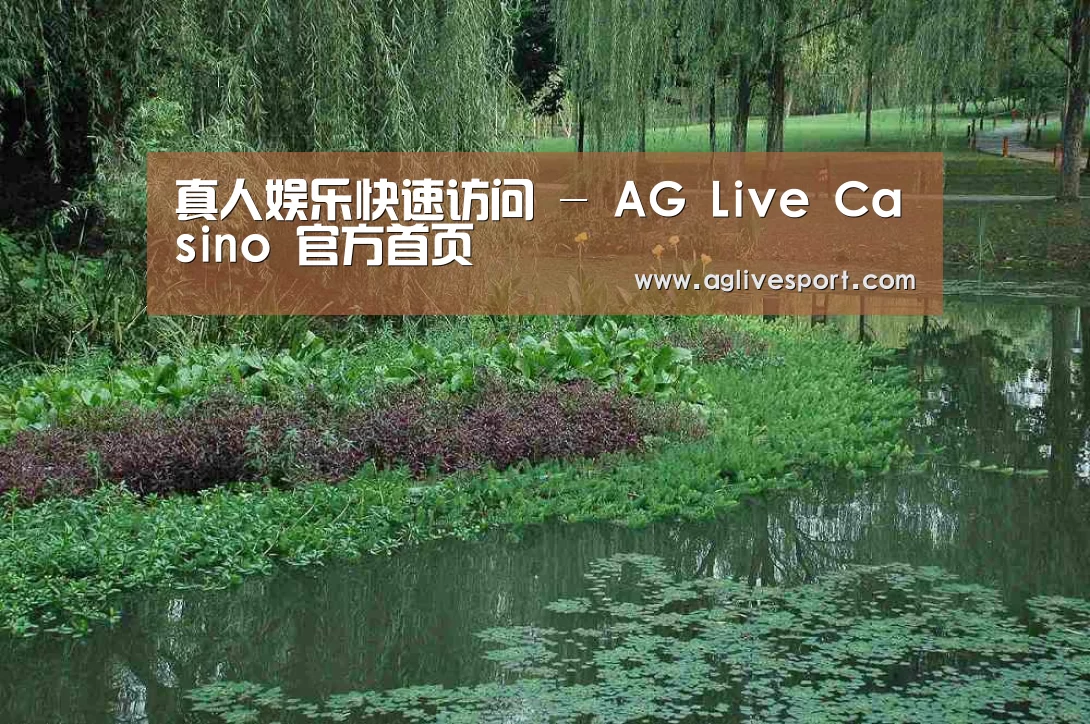 案例展示一(图1)
