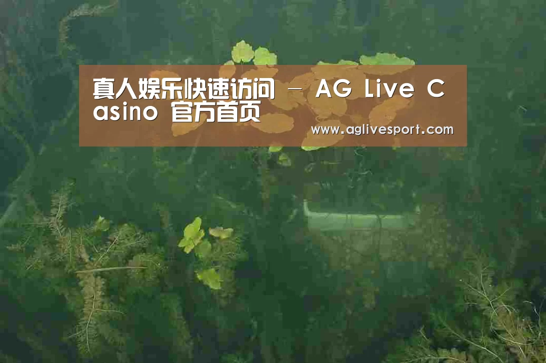 案例展示三(图1)
