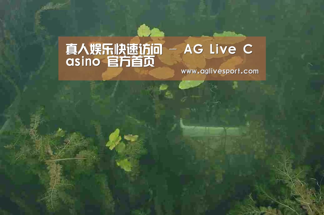 案例展示三