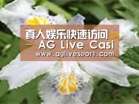 产品名称二