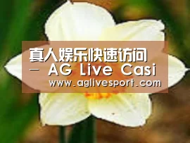 产品名称四
