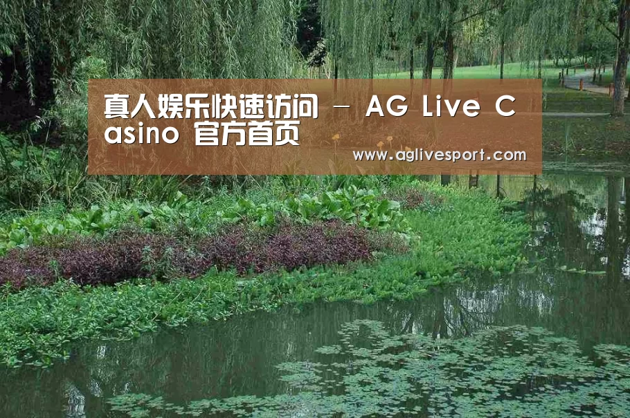 案例展示一