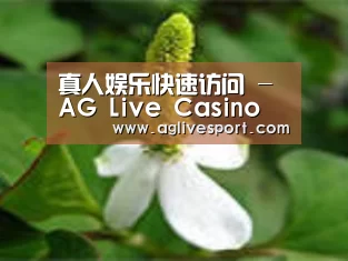 产品名称三