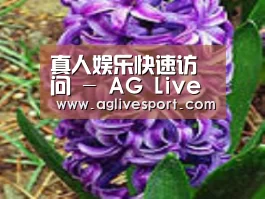 产品名称八