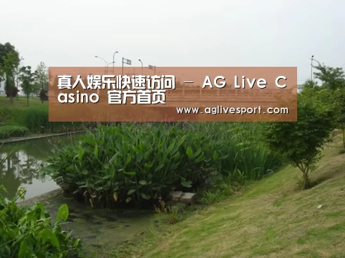案例展示四