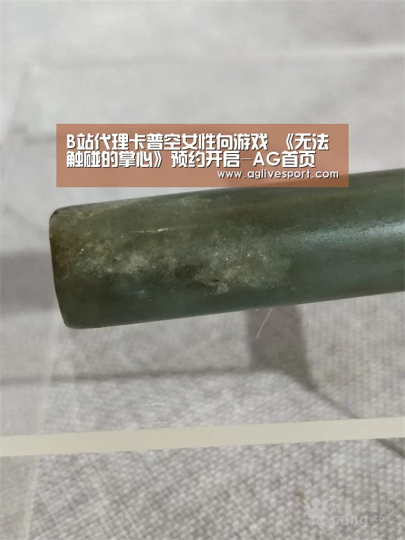 B站代理卡普空女性向游戏 《无法触碰的掌心》预约开启-AG首页(图1) AG首页