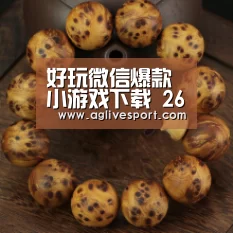 好玩微信爆款小游戏下载 26款微信小游戏合辑-AGLive(图3)