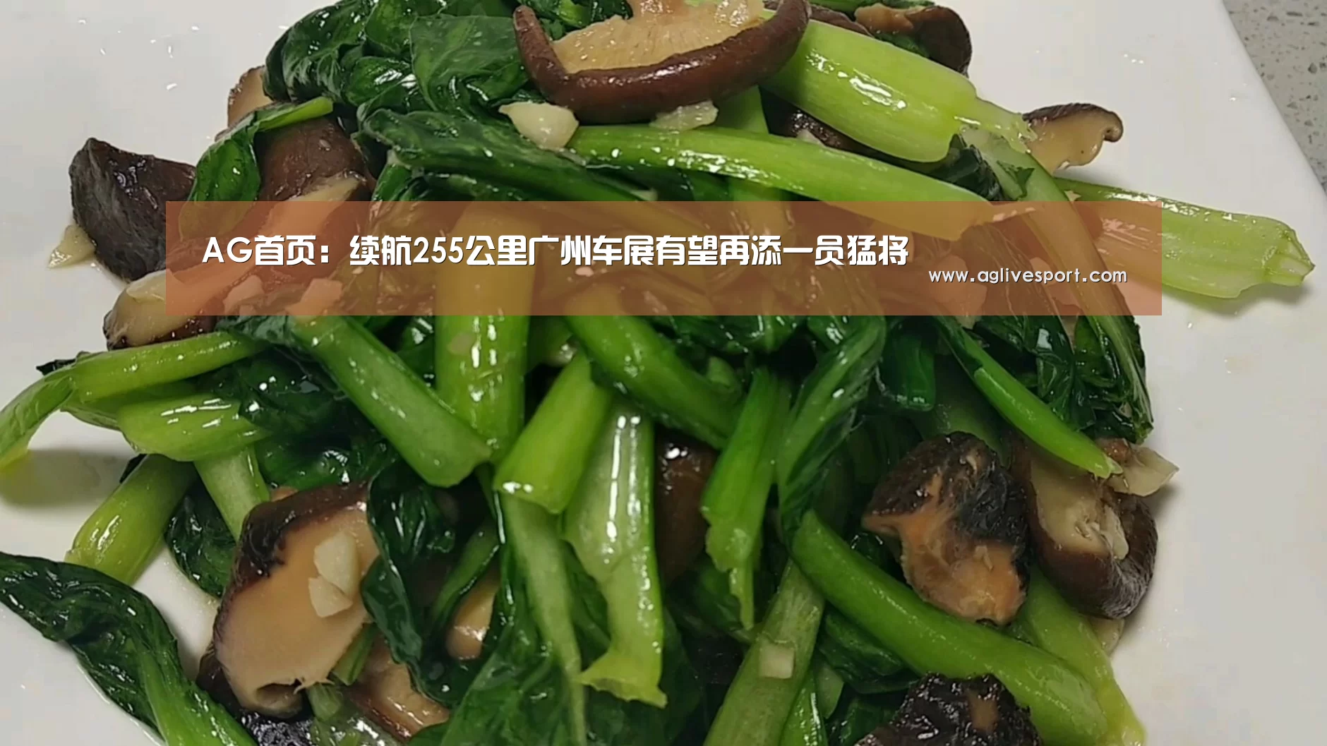 AG首页:续航255公里广州车展有望再添一员猛将(图3) AG访问
