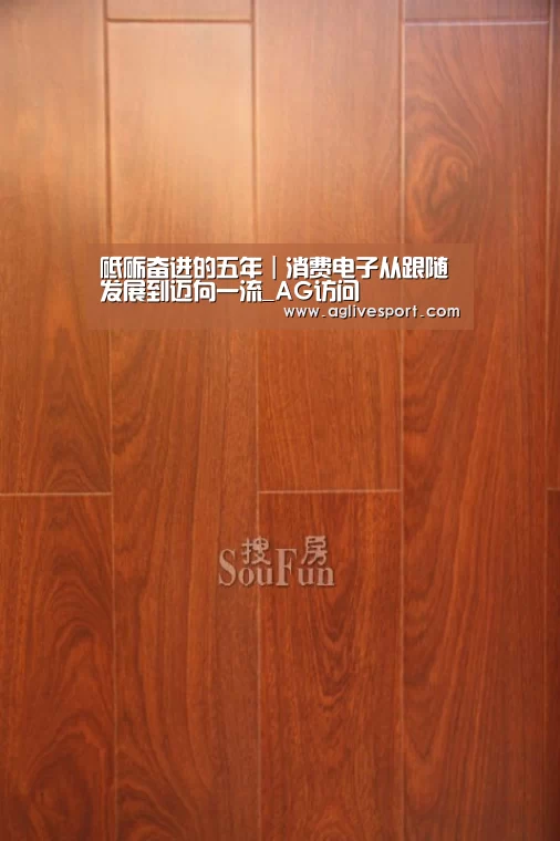 砥砺奋进的五年|消费电子从跟随发展到迈向一流_AG访问(图1) AG真人