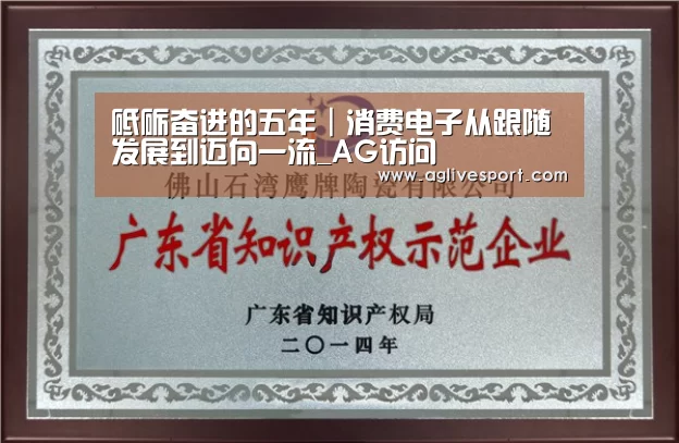 砥砺奋进的五年|消费电子从跟随发展到迈向一流_AG访问(图2) AG真人