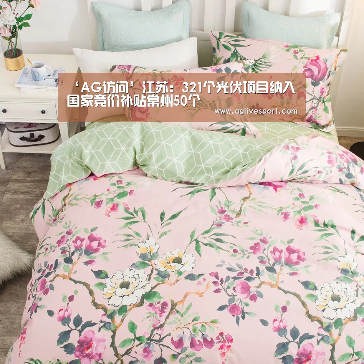 ‘AG访问’江苏:321个光伏项目纳入国家竞价补贴常州50个(图4) ‘AG访问’江苏:321个光伏项目纳入国家竞价补贴常州50个(图4)