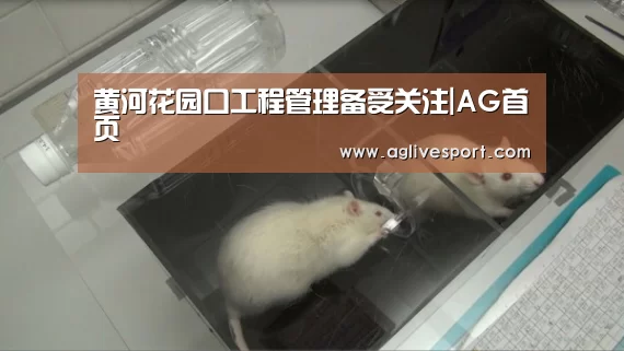 黄河花园口工程管理备受关注|AG首页(图1) 黄河花园口工程管理备受关注|AG首页(图1)