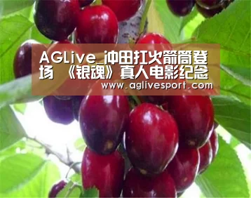 AGLive_冲田扛火箭筒登场 《银魂》真人电影纪念EVENT公开新图(图1) AG首页