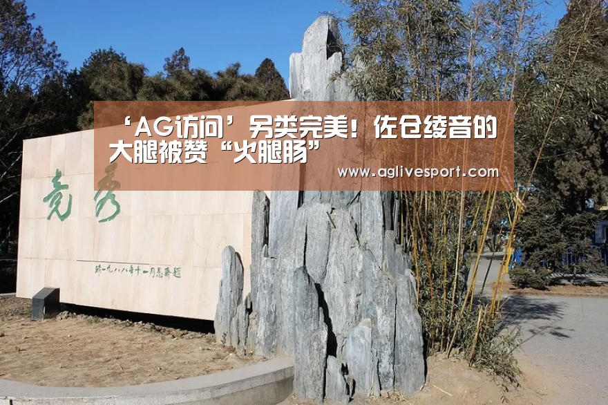 ‘AG访问’另类完美!佐仓绫音的大腿被赞“火腿肠”(图1) AG访问