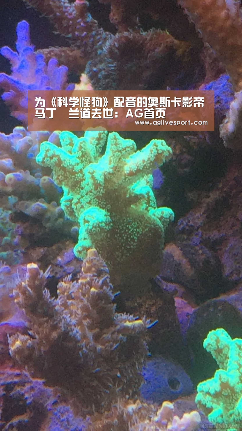 为《科学怪狗》配音的奥斯卡影帝马丁•兰道去世:AG首页(图1) AG访问