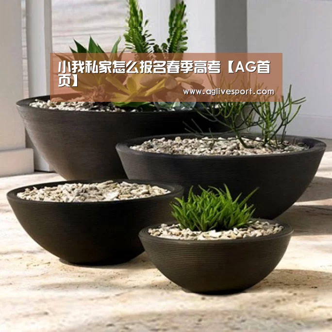 小我私家怎么报名春季高考【AG首页】(图2) AG首页