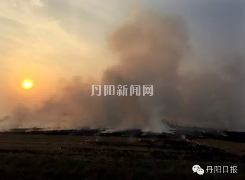 关于设立佳木斯市人口普查监视举报电话的通知-AG首页(图3) 关于设立佳木斯市人口普查监视举报电话的通知-AG首页(图3)