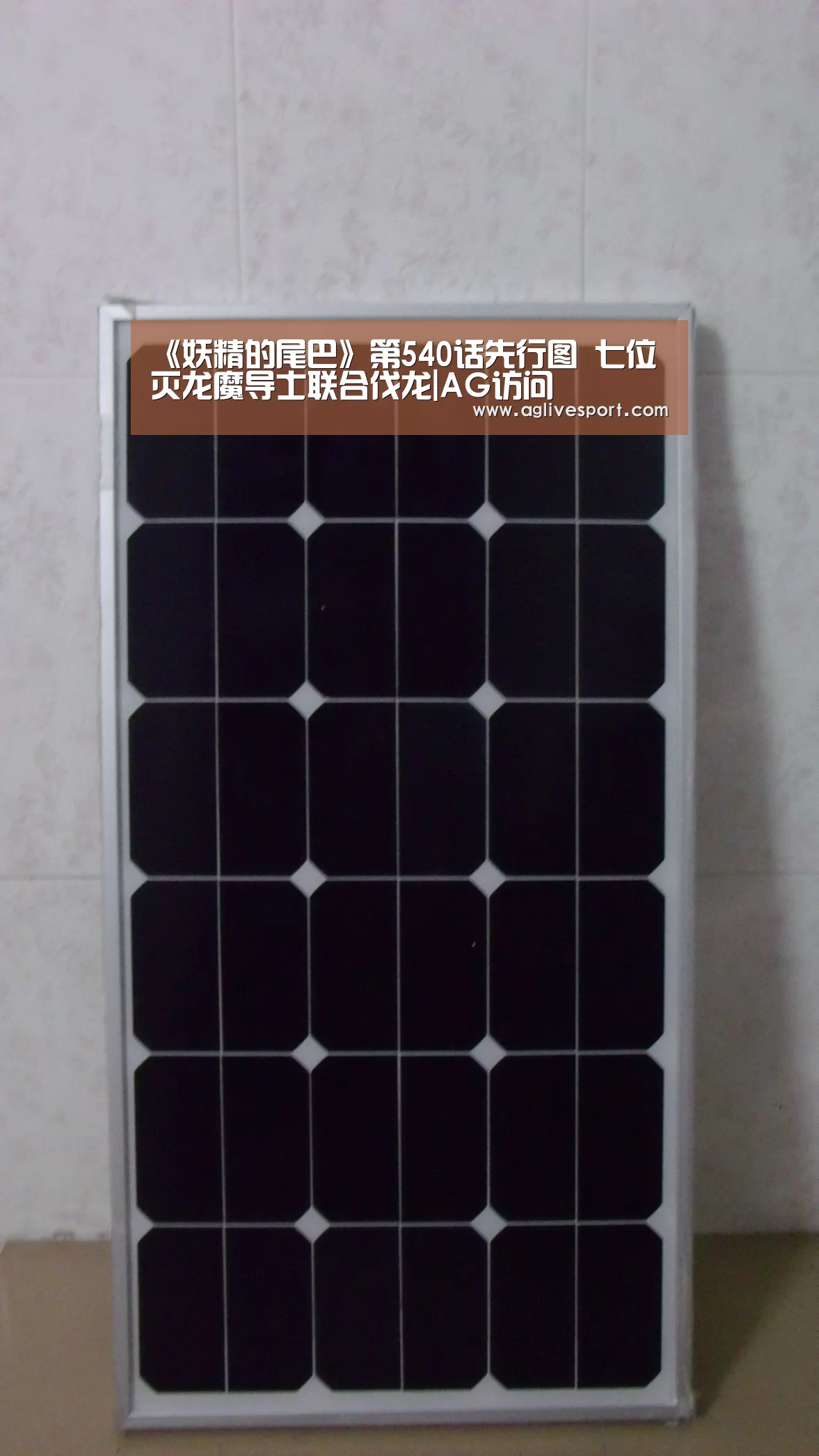 AG真人