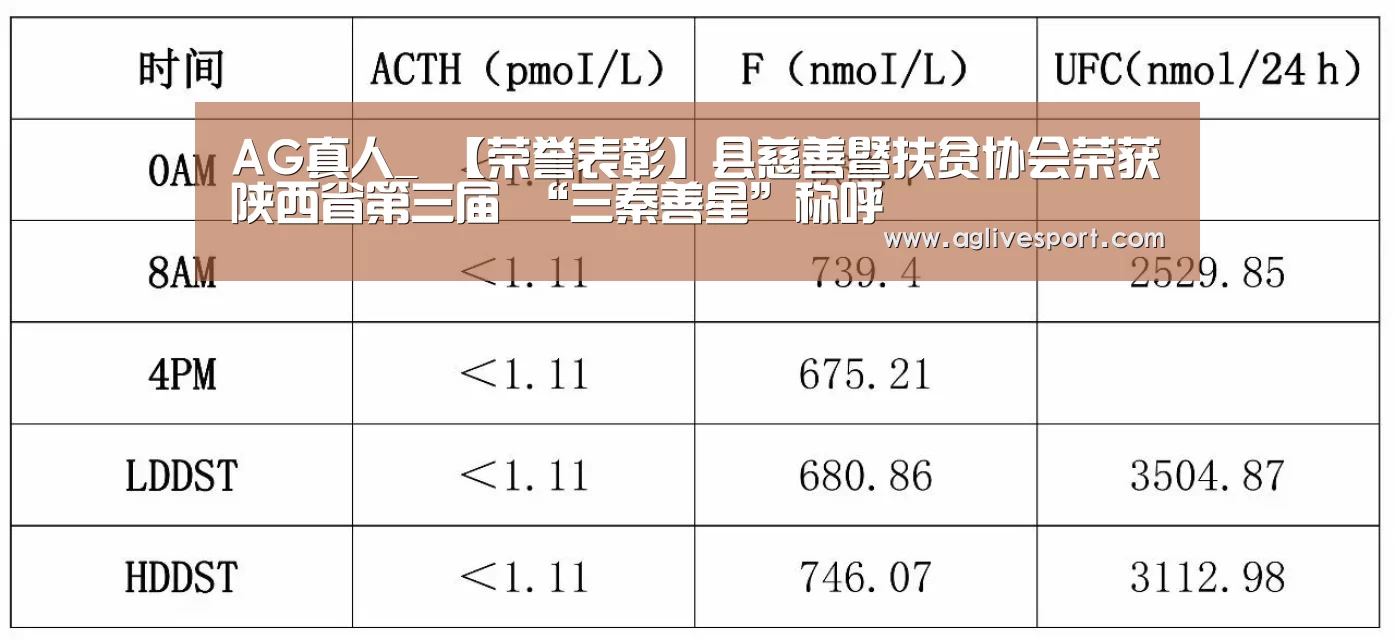 AG真人_
【荣誉表彰】县慈善暨扶贫协会荣获陕西省第三届 “三秦善星”称呼(图3) AG首页